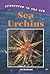 Sea Urchins (Creatures of the Sea)