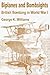 Biplanes and Bombsights: British Bombing in World War I