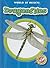 Dragonflies