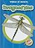 Dragonflies