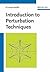 Introduction to Perturbation Techniques