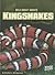 Kingsnakes (Edge Books)