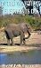 In The Way That Elephants Do