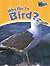 Why Am I a Bird? (Perspectives)