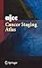 AJCC Cancer Staging Atlas: AJCC Cancer Staging Illustrations in PowerPoint® From the AJCC Cancer Staging Atlas