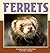 Ferrets by Sylvia A. Johnson