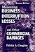 Measuring Business Interruption Losses and Other Commercial Damages