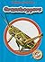 Grasshoppers (World of Insects)
