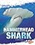 Hammerhead Shark by Jody Sullivan Rake