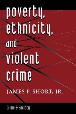 Poverty, Ethnicity, And Violent Crime (Crime and Society)