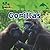 Gorillas (Amazing Animals)