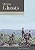Chasing Ghosts: Unconventional Warfare in American History