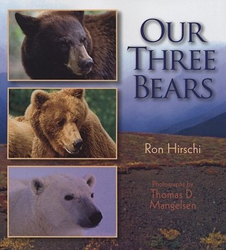 Our Three Bears (Hardcover)