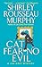 Cat Fear No Evil