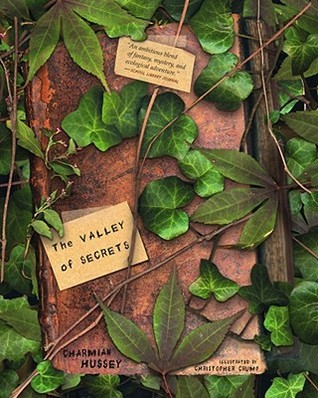 The Valley of Secrets (Paperback)