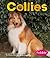 Collies (Pebble Books)