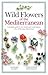 Wild Flowers of the Mediterranean: A Complete Guide to the Islands and Coastal Regions