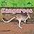 Kangaroos (Amazing Animals)
