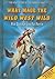 What Made the Wild West Wild (The Wild History of the American West)