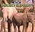 Project Elephant (Zoo Life)