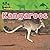 Kangaroos (Amazing Animals)