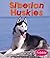 Siberian Huskies (Pebble Books; Dogs)