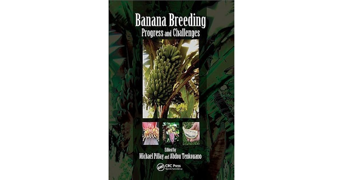 Banana Breeding Progress and Challenges by Michael Pillay