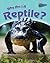 Why Am I a Reptile?
