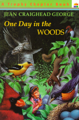 One Day in the Woods (Paperback)