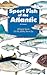 Sport Fish of the Atlantic by Vic Dunaway Sport Fish of the Atlantic by Vic Dunaway