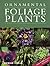 Ornamental Foliage Plants