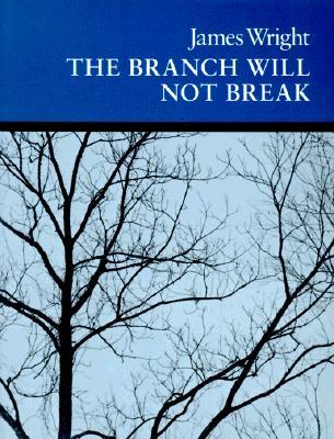 The Branch Will Not Break (Paperback)