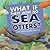 What If There Were No Sea O...