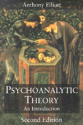 Psychoanalytic Theory: An Introduction (Social Studies across the Borders)