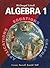 McDougal Littell Algebra 1 by Ron Larson