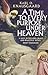 A Time to Every Purpose Under Heaven by Karl Ove Knausgård