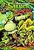 Shrek Digest Volume 2 GN by Scott Shaw!