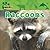 Raccoons