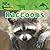 Raccoons by Karen Baicker