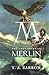 The Lost Years of Merlin (Merlin, #1)