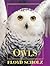 Owls