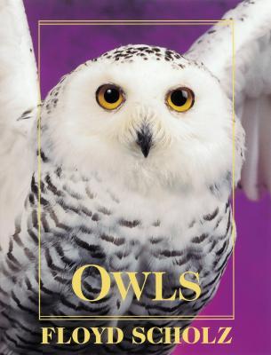 Owls (Hardcover)