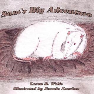 Sam's Big Adventure (Paperback)