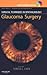 Surgical Tecniques In Optalmology Series by Chen