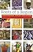 Roots of a Region: Southern Folk Culture