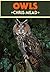 Owls