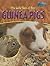 The Wild Side of Pet Guinea Pigs (Perspectives)
