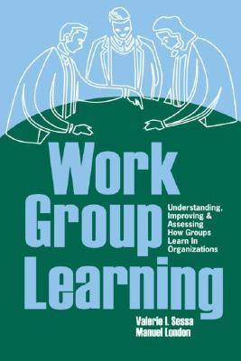 Work Group Learning (Paperback)