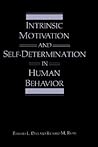 Intrinsic Motivat...