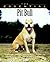 The Essential Pit Bull